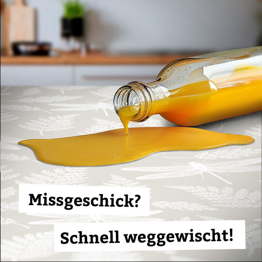 Tischdecke PVC-frei Dragon Fairy image number null